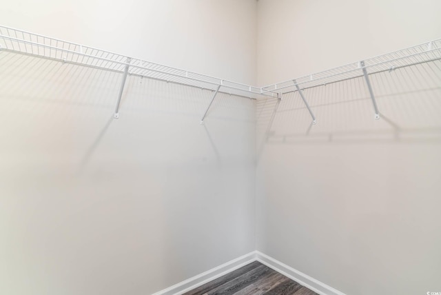 2889 Riverboat Way, Conway, SC 29526 - spacious closet with dark wood-type flooring