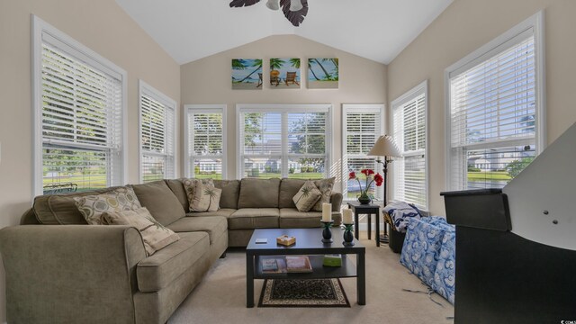 6172 Catalina Dr Unit 612, North Myrtle Beach, SC 29582 - photo 7