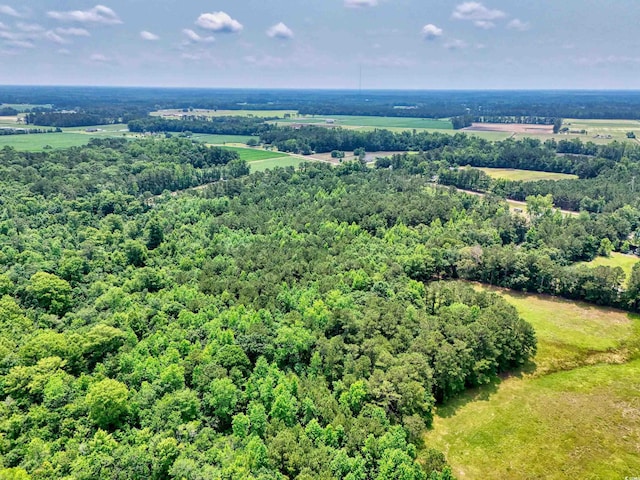 TBD Valley Forge Rd, Aynor, SC 29511 - photo 4