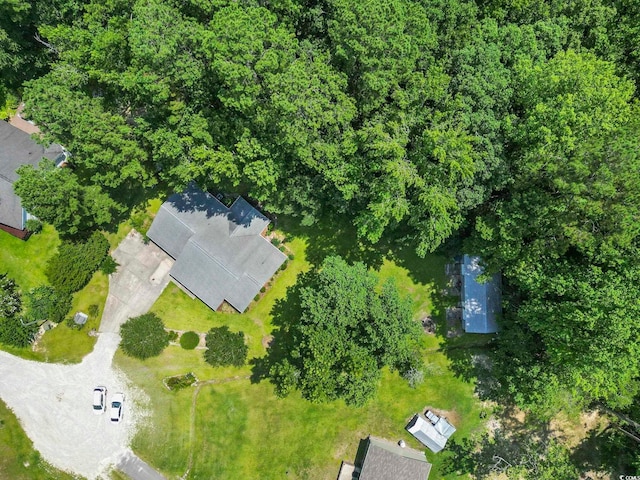 125 Gavin Hill Ct, Aynor, SC 29511 - photo 5