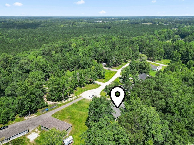 125 Gavin Hill Ct, Aynor, SC 29511 - photo 6