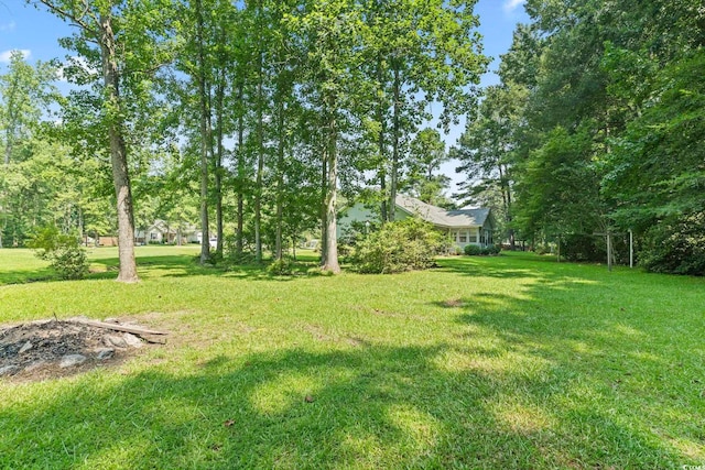 125 Gavin Hill Ct, Aynor, SC 29511 - photo 35