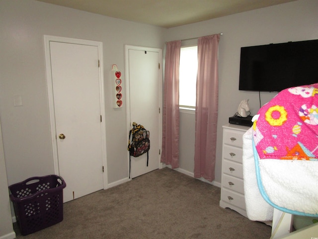 5578 Dongola Hwy, Conway, SC 29527 - view of carpeted bedroom