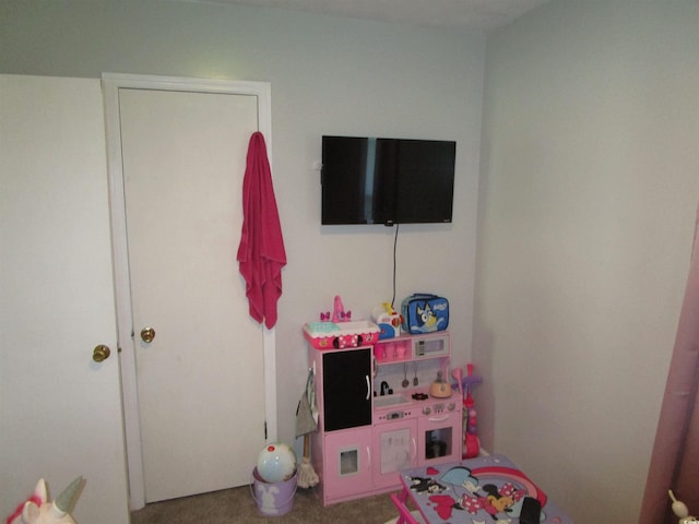 5578 Dongola Hwy, Conway, SC 29527 - recreation room featuring carpet