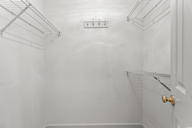 4388 Daphne Ln Unit C, Murrells Inlet, SC 29576 - photo 20