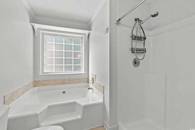 4388 Daphne Ln Unit C, Murrells Inlet, SC 29576 - photo 22