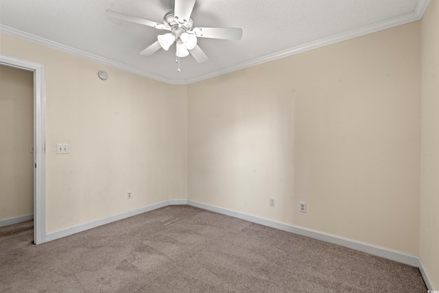 4388 Daphne Ln Unit C, Murrells Inlet, SC 29576 - photo 26
