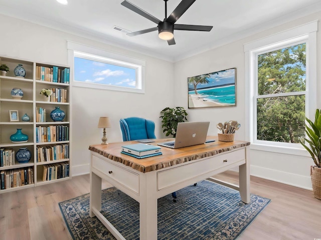 4617 Hedrick St, North Myrtle Beach, SC 29582 - office area featuring ceiling fan, light wood-style flooring, and ornamental molding