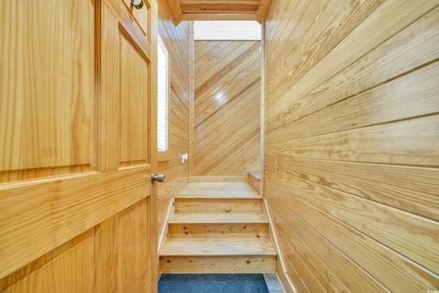 1039 Forest Dr, Conway, SC 29526 - staircase with wooden walls and a relaxing sauna