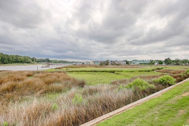 4396 Baldwin Ave Unit 1, Little River, SC 29566 - view of yard