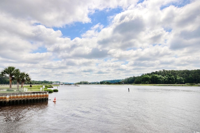 4396 Baldwin Ave Unit 1, Little River, SC 29566 - water view