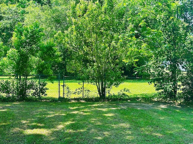 8 Raymond St, Andrews, SC 29510 - view of yard with a gate