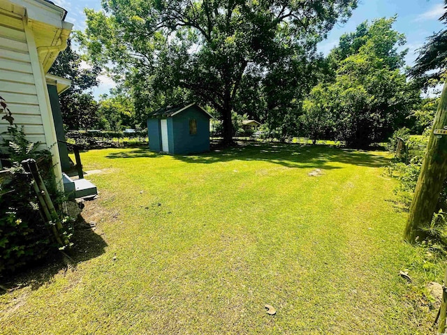 8 Raymond St, Andrews, SC 29510 - view of green lawn