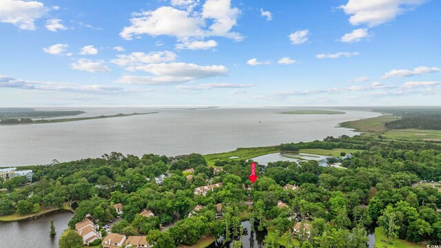 64 Bamboo Loop Unit 161, Georgetown, SC 29440 - photo 24