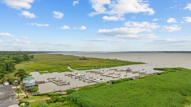 64 Bamboo Loop Unit 161, Georgetown, SC 29440 - photo 30