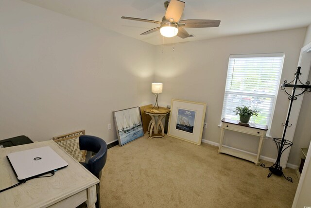 9 Pistachio Loop Unit B, Murrells Inlet, SC 29576 - photo 19