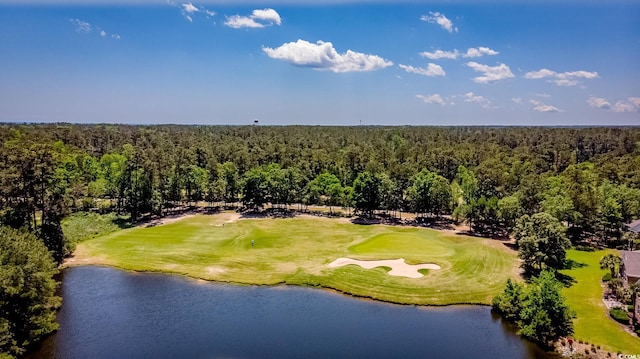 9 Pistachio Loop Unit B, Murrells Inlet, SC 29576 - photo 38