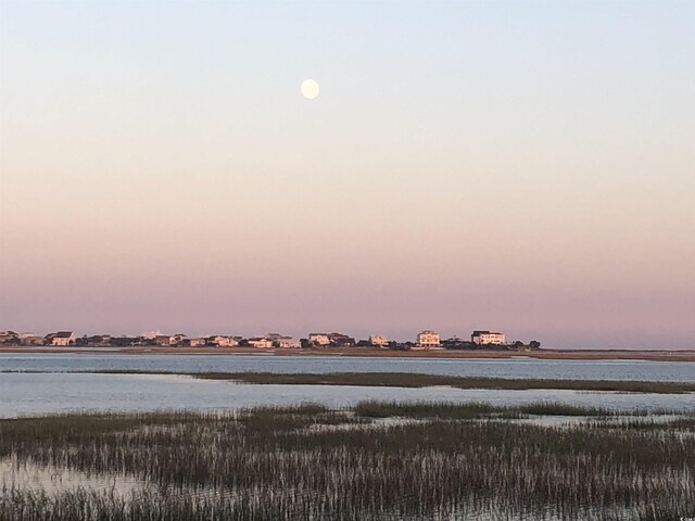 9 Pistachio Loop Unit B, Murrells Inlet, SC 29576 - photo 39
