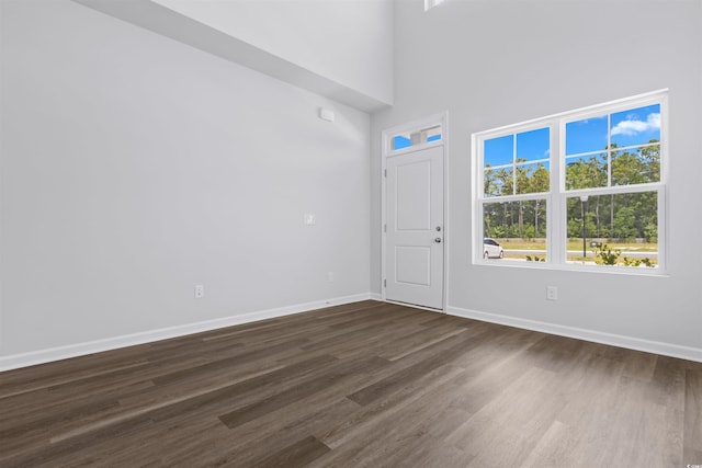 776 NW Palm Frond Way Unit 55, Calabash, NC 28467 - spare room featuring dark wood-style floors, healthy amount of natural light, baseboards, and a towering ceiling