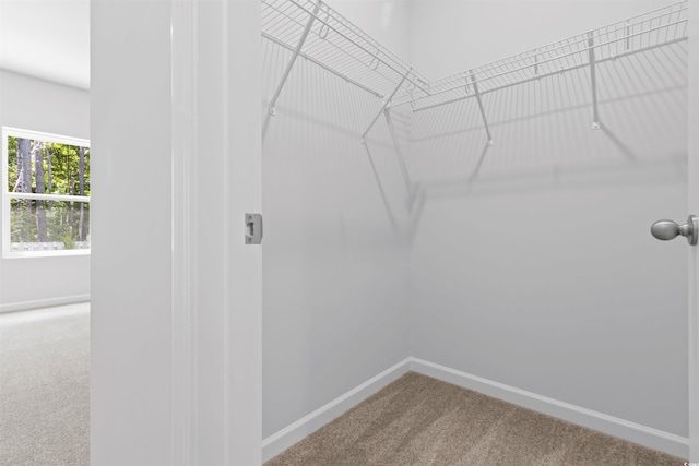 776 NW Palm Frond Way Unit 55, Calabash, NC 28467 - spacious closet with carpet flooring