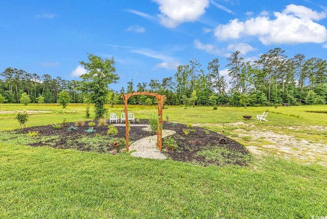 7377 Pauley Swamp Rd, Conway, SC 29527 - photo 33