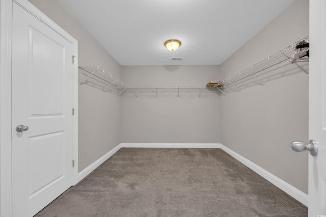 5621 Camilla Ct, Myrtle Beach, SC 29579 - spacious closet with carpet flooring