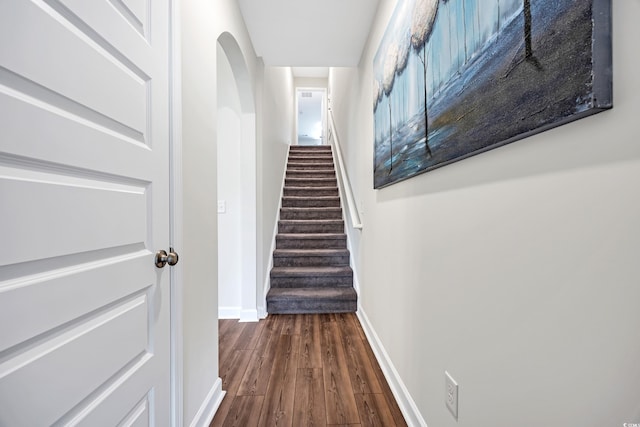 116 Glengrove Ln, Murrells Inlet, SC 29576 - photo 26
