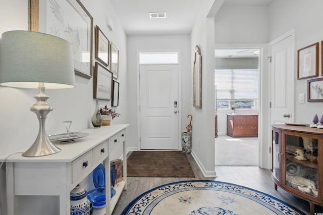 1723 Perthshire Loop, Myrtle Beach, SC 29579 - foyer entrance featuring wood finished floors, healthy amount of natural light, and baseboards