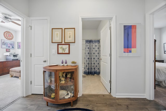 1723 Perthshire Loop, Myrtle Beach, SC 29579 - hall featuring wood finished floors and baseboards