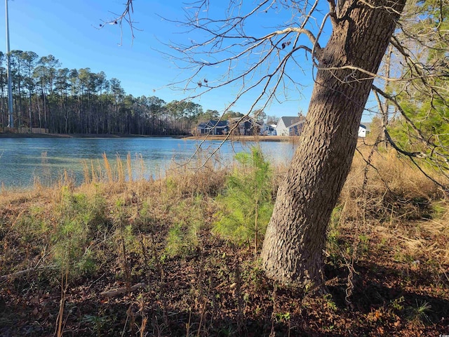 1025 W Plantation Dr W Unit 2817, Little River, SC 29566 - water view with a heavily wooded area