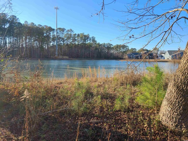 1025 W Plantation Dr W Unit 2817, Little River, SC 29566 - photo 24