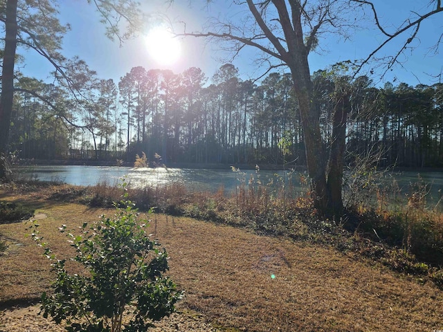 1025 W Plantation Dr W Unit 2817, Little River, SC 29566 - photo 25