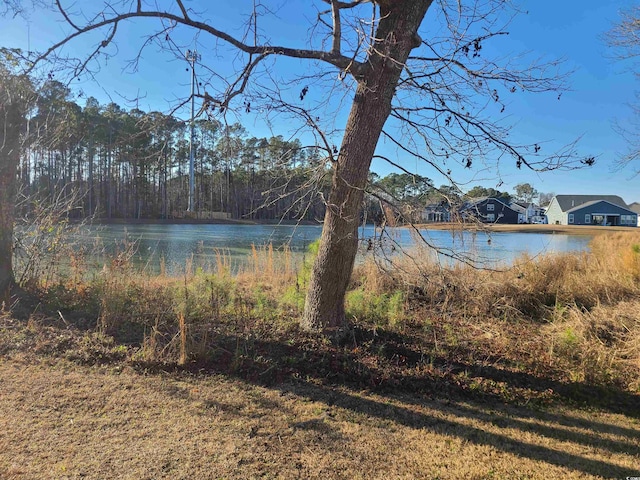 1025 W Plantation Dr W Unit 2817, Little River, SC 29566 - photo 26
