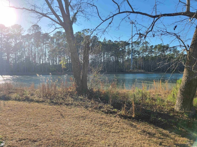 1025 W Plantation Dr W Unit 2817, Little River, SC 29566 - photo 27