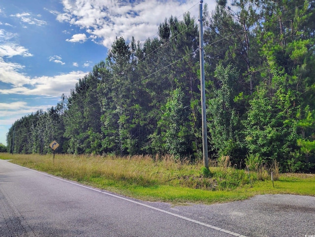 TBD Boggy Branch Rd, Nichols, SC 29581
