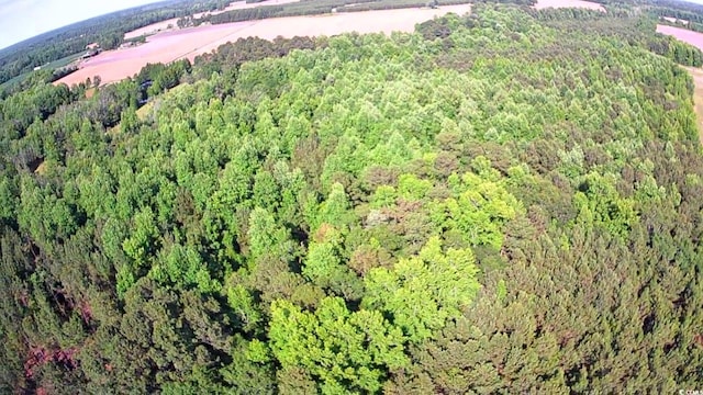 TBD Boggy Branch Rd, Nichols, SC 29581