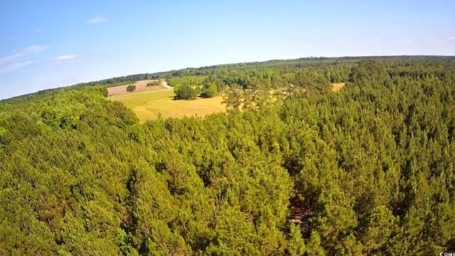 TBD Boggy Branch Rd, Nichols, SC 29581