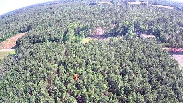 TBD Boggy Branch Rd, Nichols, SC 29581