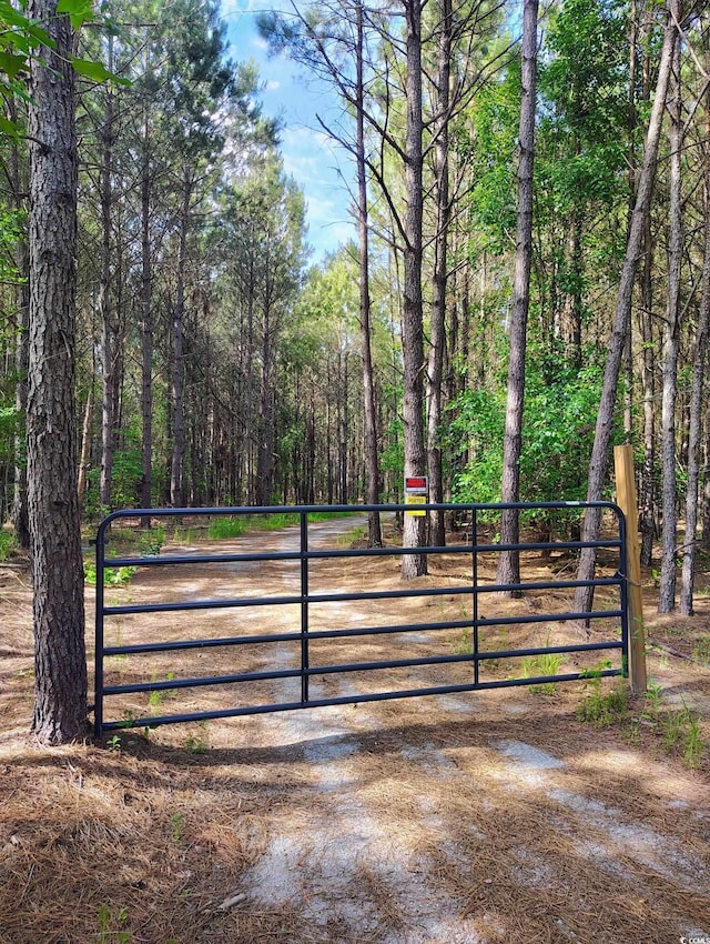TBD Boggy Branch Rd, Nichols, SC 29581