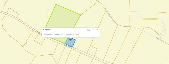 TBD Boggy Branch Rd, Nichols, SC 29581