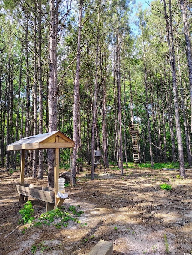 TBD Boggy Branch Rd, Nichols, SC 29581
