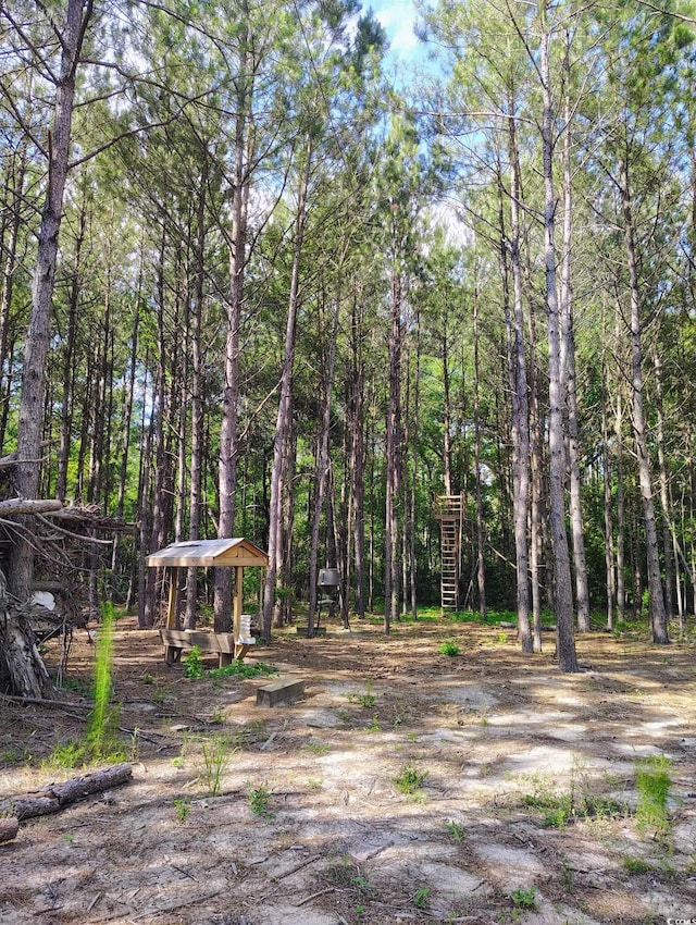 TBD Boggy Branch Rd, Nichols, SC 29581