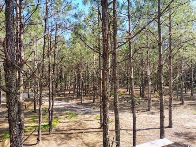 TBD Boggy Branch Rd, Nichols, SC 29581