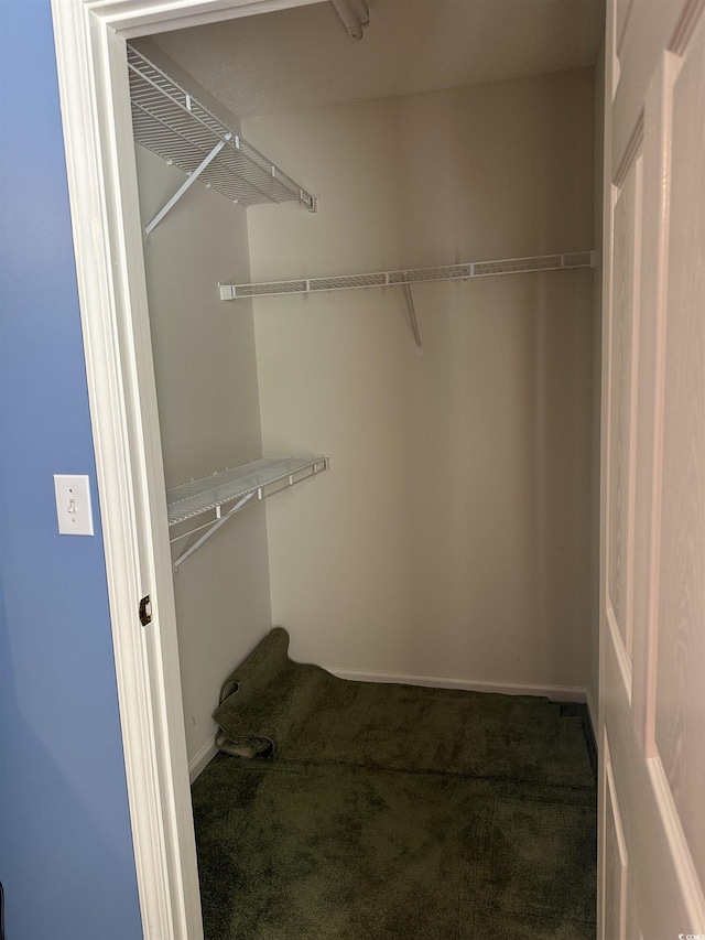 9779 Leyland Dr Unit 3, Myrtle Beach, SC 29572 - spacious closet featuring carpet flooring