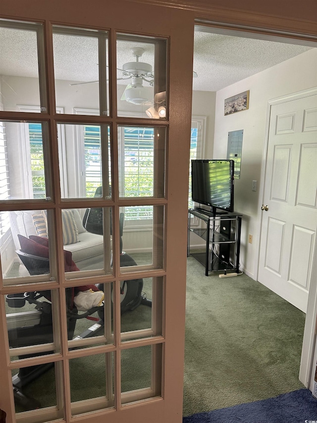9779 Leyland Dr Unit 3, Myrtle Beach, SC 29572 - detailed view of carpet flooring and a textured ceiling