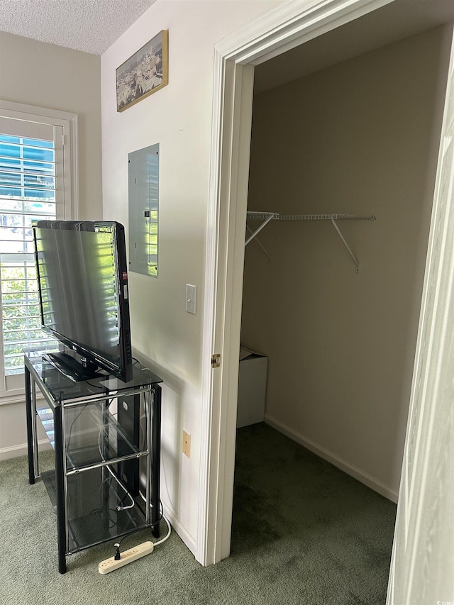 9779 Leyland Dr Unit 3, Myrtle Beach, SC 29572 - walk in closet featuring carpet floors and electric panel