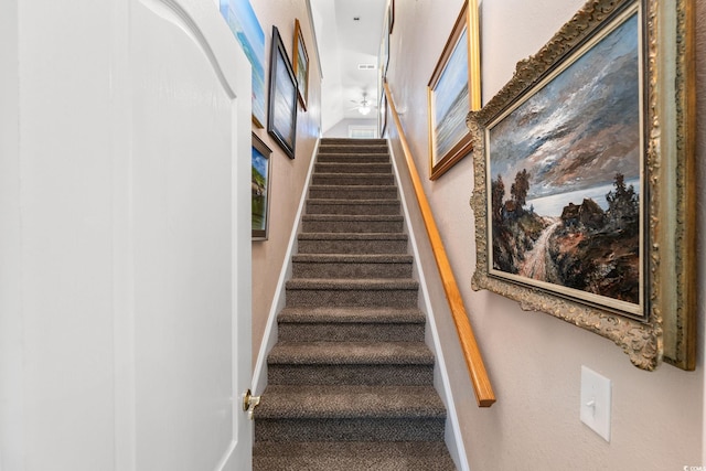 6572 Wellington Dr, Murrells Inlet, SC 29576 - stairway with baseboards and carpet