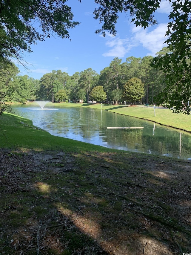 700 Two Rivers Ct, Myrtle Beach, SC 29579 - photo 39