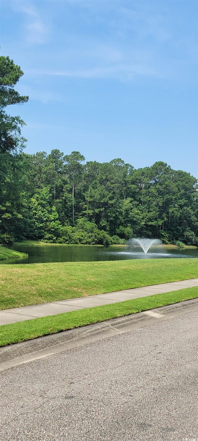 700 Two Rivers Ct, Myrtle Beach, SC 29579 - photo 38