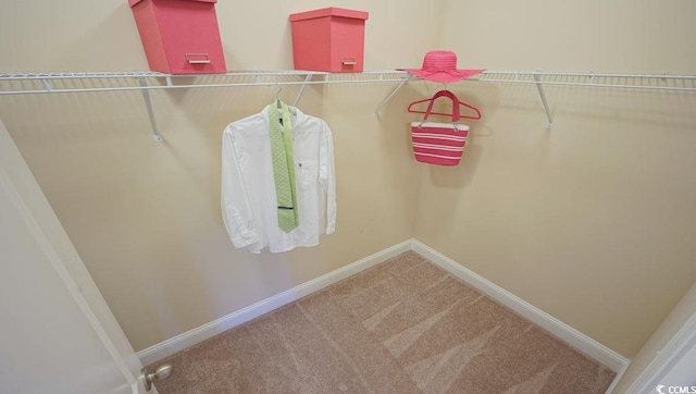 744 Choctaw Dr, Conway, SC 29526 - walk in closet with carpet